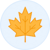 Feuille d'érable Enureflex