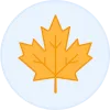 Feuille d'érable Enureflex